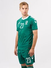 Футболка HUMMEL LITHUANIA 24/25 HOME JERSEY S/S 22647561315715454780969 цена и информация | Мужская спортивная одежда | kaup24.ee