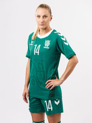 Футболка HUMMEL LITHUANIA 24/25 HOME JERSEY S/S 22647561315715454780969 цена и информация | Мужская спортивная одежда | kaup24.ee