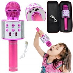 Karaoke-mikrofon Bluetooth juhtmevaba цена и информация | Настольные игры, головоломки | kaup24.ee