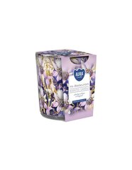 Aura lõhnaküünal Iris Black Currant 100 g hind ja info | Küünlad, küünlajalad | kaup24.ee