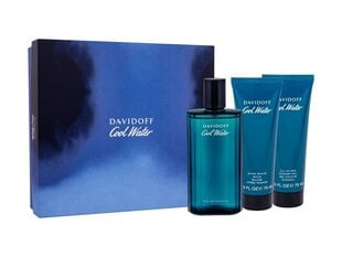 Davidoff Cool Water 125ml цена и информация | Мужские духи | kaup24.ee