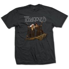 Tenacious D Wizardsi T-särk hind ja info | Meeste T-särgid | kaup24.ee