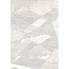 Vaip Argentum Modern 160x230 cm цена и информация | Ковры | kaup24.ee