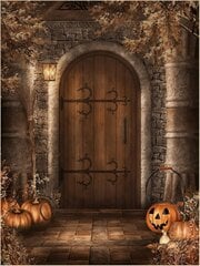 Halloweeni pildistamise taust, 150-200cm цена и информация | Праздничные декорации | kaup24.ee