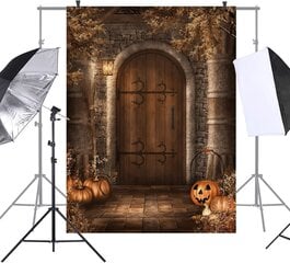 Halloweeni pildistamise taust, 150-200cm цена и информация | Праздничные декорации | kaup24.ee