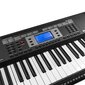 MAX Rhapsody61 süntesaator 61-klahvi, komplekt hind ja info | Klahvpillid | kaup24.ee