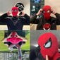 Spidermani silmamask, Super Hero Cosplay mask lastele/täiskasvanutele hind ja info | Karnevali kostüümid | kaup24.ee