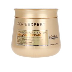 Регенерирующая маска для волос L'Oreal Professionnel Serie Expert Absolut Repair Gold Quinoa + Protein 250 мл цена и информация | Маски, масла, сыворотки | kaup24.ee