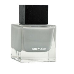 Парфюмированная вода Aurora Grey Ash EDP для мужчин/женщин, 100 мл цена и информация | Женские духи | kaup24.ee