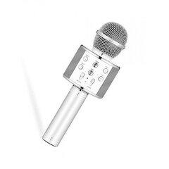 Lõbus karaoke bluetooth mikrofon ümbrisega - must hind ja info | Mikrofonid | kaup24.ee