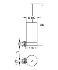 Grohe Selection rippuv tualetihari 41076GN0 hind ja info | Vannitoa sisustuselemendid ja aksessuaarid | kaup24.ee