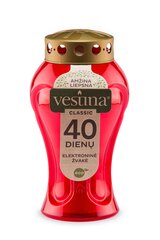 Elektrooniline küünal Vestina Eco 17 cm hind ja info | Küünlad hingedepäevaks | kaup24.ee