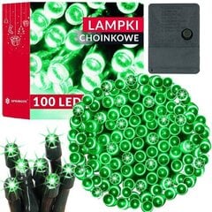 Jõulutuled Springos CL0131 100 Led 8,5 m hind ja info | Jõulutuled | kaup24.ee