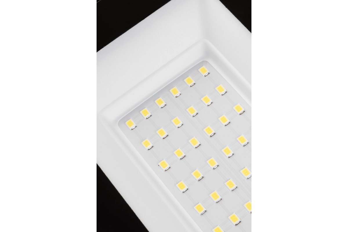 Kaasaskantav LED-kohtvalgusti NELI, 30 W, 4500 lm, 6400 K, IP65, must цена и информация | Aia- ja õuevalgustid | kaup24.ee