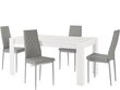 Söögitoamööbli komplekt Notio Living Lori 160/Barak, valge/hall//toolide mõõdud puuduvad hind ja info | Söögilauakomplektid | kaup24.ee