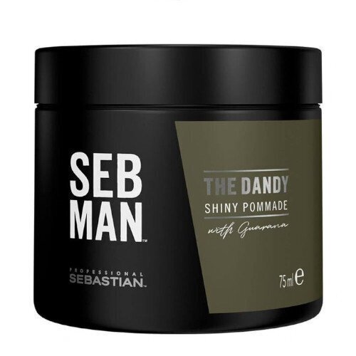 Juuksepumat meestele Sebastian Professional SEB MAN The Dandy Shiny 75 ml hind ja info | Viimistlusvahendid juustele | kaup24.ee