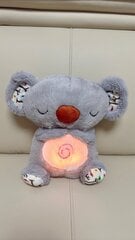 Koala Relief Breathing Pehmed loomad Pluus koos Sensory Music Lights rütmiline hingamine Motion hind ja info | Pehmed mänguasjad | kaup24.ee