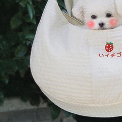 Strawberry Print Pet Sling kandekott karu ripatsiga – käed-vabad hingav ühe õla kandekott kutsikale ja kassipojale (L suurus 9 kg/19,8 Ib) цена и информация | Женские сумки | kaup24.ee