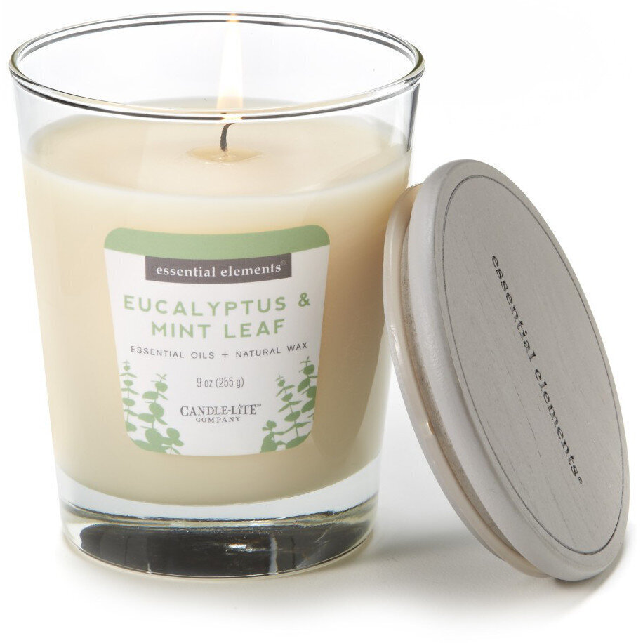 Lõhnaküünal kaanega Candle-Lite Eucalyptus & Mint Leaf, 255 g hind ja info | Küünlad, küünlajalad | kaup24.ee