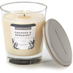 Candle-Lite ароматическая свеча с крышечкой Oakmoss & Bergamot, 255 г. цена и информация | Подсвечники, свечи | kaup24.ee