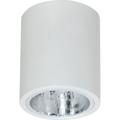 Laevalgusti Luminex Downlight Round hind ja info | Luminex Mööbel ja sisustus | kaup24.ee