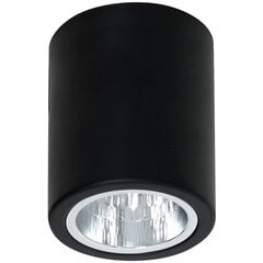 Luminex потолочный светильник Downlight Round цена и информация | Потолочные светильники | kaup24.ee