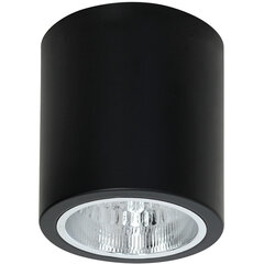 Luminex потолочный светильник Downlight Round цена и информация | Потолочные светильники | kaup24.ee