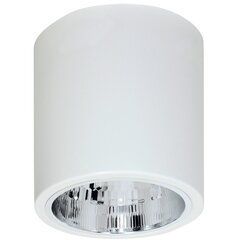 Luminex потолочный светильник Downlight Round цена и информация | Потолочные светильники | kaup24.ee