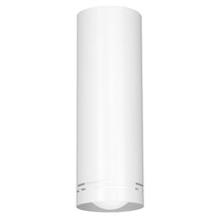 Luminex настенный светильник Insert Round 300 цена и информация | Настенные светильники | kaup24.ee