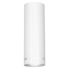 Luminex настенный светильник Insert Round 300 цена и информация | Настенные светильники | kaup24.ee