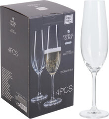 Šampanjaklaasid, 4 tk цена и информация | Стаканы, фужеры, кувшины | kaup24.ee