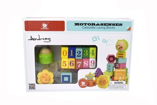 Puidust klotsid Röövik Top Bright hind ja info | Imikute mänguasjad | kaup24.ee
