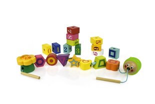 Puidust klotsid Röövik Top Bright hind ja info | Imikute mänguasjad | kaup24.ee