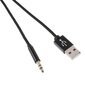 Wow Store 3,5 mm + USB hind ja info | Mobiiltelefonide kaablid | kaup24.ee