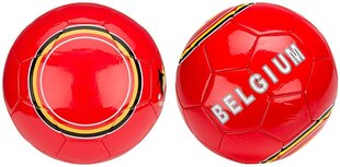 Jalgpalli pall Avento Euro Triumph, punane/valge hind ja info | Jalgpalli pallid | kaup24.ee