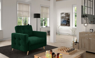 Кресло Asgard, зеленое цена и информация | Кресла для отдыха | kaup24.ee
