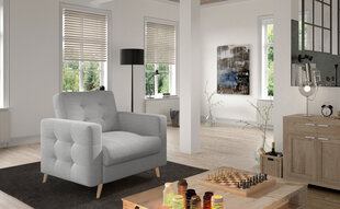 Кресло Asgard, светло-серое цена и информация | Кресла в гостиную | kaup24.ee