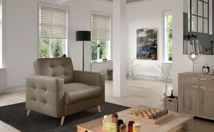 Кресло Asgard, коричневое цена и информация | Кресла в гостиную | kaup24.ee