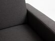 Armchair SCANDIC, Carbon (et95), Natural цена и информация | Tugitoolid ja tugitoolvoodid | kaup24.ee