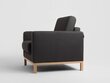 Armchair SCANDIC, Carbon (et95), Natural цена и информация | Tugitoolid ja tugitoolvoodid | kaup24.ee