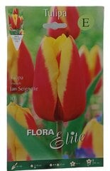 Tulbid Jan Seignette Flora Elite, 10 tk hind ja info | Lillesibulad | kaup24.ee