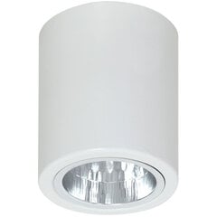 Laevalgusti Luminex Downlight Round цена и информация | Потолочные светильники | kaup24.ee