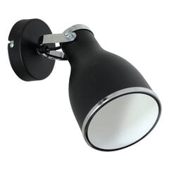 Luminex настенный светильник Bjorn цена и информация | Настенные светильники | kaup24.ee