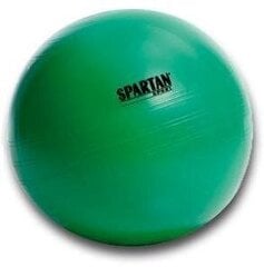 SPARTAN võimlemispall 65 cm ROHELINE цена и информация | Другие товары для фитнеса | kaup24.ee