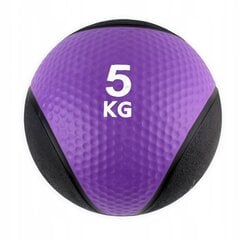 Fitness Crossfit MASTER Meditsiinipall 5 kg hind ja info | Topispallid | kaup24.ee