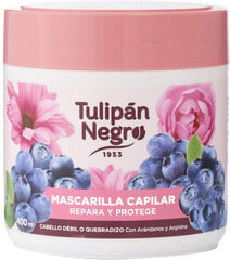 TULIPAN NEGRO taastav ja kaitsev juuksemask, 400ml hind ja info | Maskid, õlid, seerumid | kaup24.ee