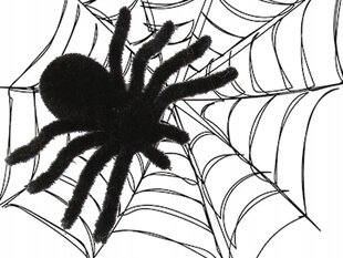 Halloweeni kaunistus - Spider, 4 tk. hind ja info | Peokaunistused | kaup24.ee