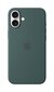 MYYH3ZM/A iPhone 16 Plus Silicone Case with MagSafe, Lake Green цена и информация | Telefoni kaaned, ümbrised | kaup24.ee