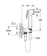 Grohe Tempesta- F Trigger Spray 30 komplekt seinaklapi/klambriga hind ja info | Komplektid ja dušipaneelid | kaup24.ee