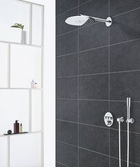 Grohe Euphoria Cosmopolitan Stick ручной душ 27400000 цена и информация | Аксессуары для душа, смесителей | kaup24.ee